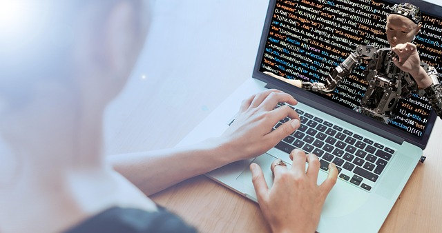 サンプルの写真